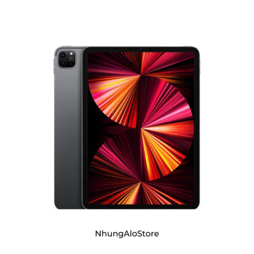iPad Pro 2021 Gray 11inch - NhungAloStore
